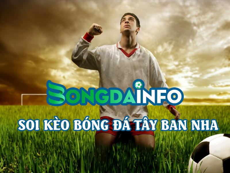 BongDa INFO cập nhật kèo nhà cái cho tất cả các giải đấu